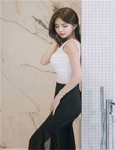 征服李梅