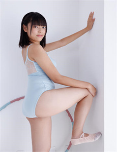 宝石宠物第三季